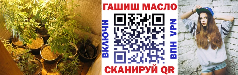 Купить где  Нерюнгри  Дистиллят ТГК гашишное масло 