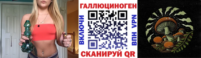 Псилоцибиновые грибы Cubensis  Купить где  Нерюнгри 
