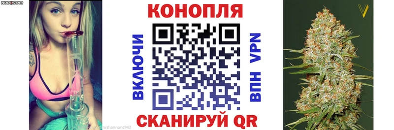 Купить закладки  Нерюнгри  Конопля сатива 